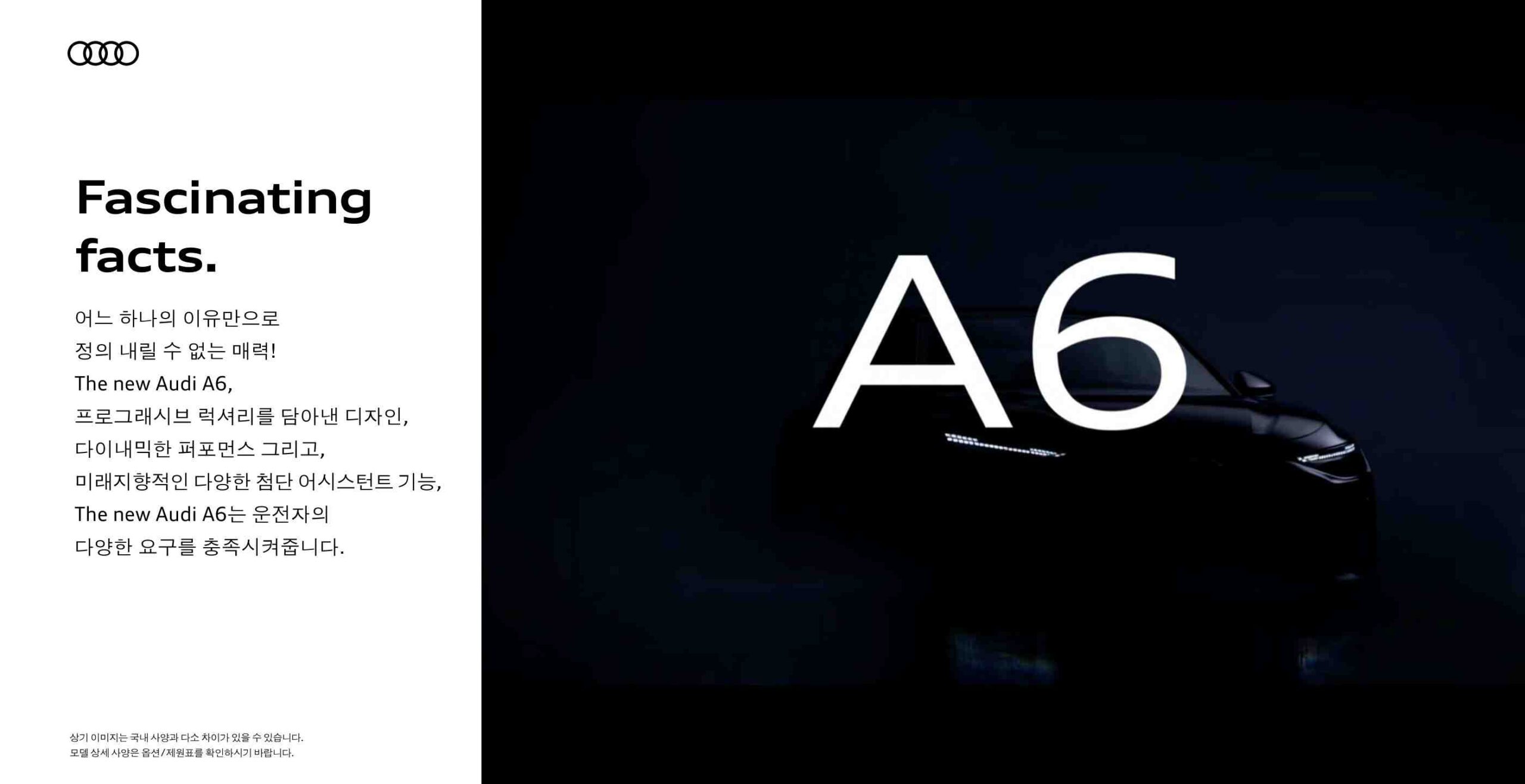 A6 catalog page_2.jpg